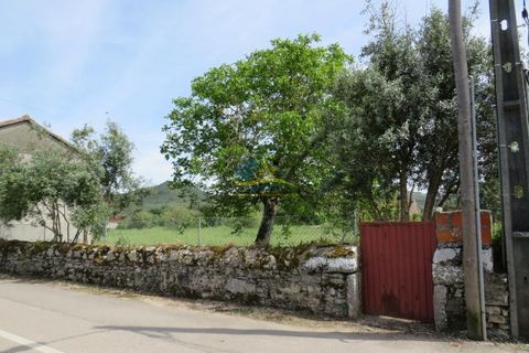 Helårsgrund i Penela, Coimbra, Penela - € 85.000 | Ref: ko2550 - foto 21