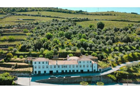 Herregård i Peso da Regua, Vila Real, Peso da Regua - € 975 000 | Ref: EXP_72 - foto 2