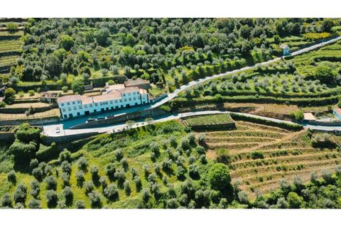 Herregård i Peso da Regua, Vila Real, Peso da Regua - € 975 000 | Ref: EXP_72 - foto 3