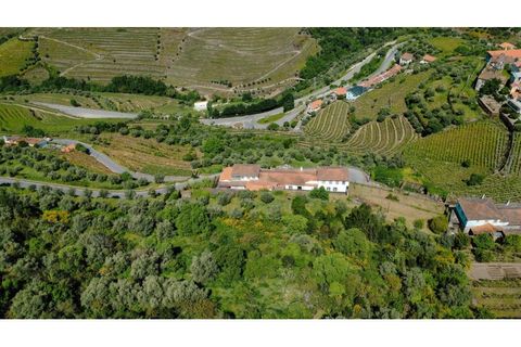 Herregård i Peso da Regua, Vila Real, Peso da Regua - € 975 000 | Ref: EXP_72 - foto 4