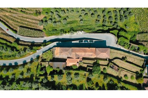 Herregård i Peso da Regua, Vila Real, Peso da Regua - € 975 000 | Ref: EXP_72 - foto 5