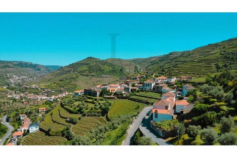 Herregård i Peso da Regua, Vila Real, Peso da Regua - € 975 000 | Ref: EXP_72 - foto 6