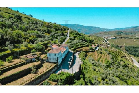 Herregård i Peso da Regua, Vila Real, Peso da Regua - € 975 000 | Ref: EXP_72 - foto 7