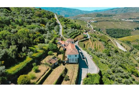 Herregård i Peso da Regua, Vila Real, Peso da Regua - € 975 000 | Ref: EXP_72 - foto 9