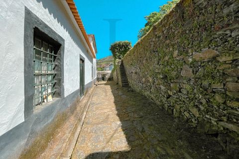 Herregård i Peso da Regua, Vila Real, Peso da Regua - € 975 000 | Ref: EXP_72 - foto 50