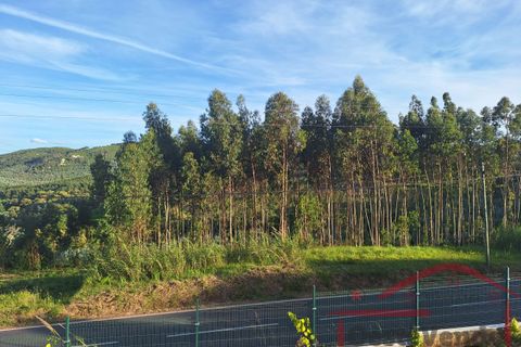 Villa i Cadaval, Lisbon, Cadaval - € 345.000 | Ref: 015-2024 - foto 38