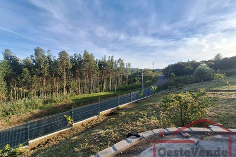 Villa i Cadaval, Lisbon, Cadaval - € 345.000 | Ref: 015-2024 - foto 40