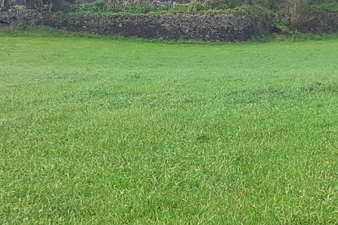 Helårsgrund i Sao Roque, Madeira, Sao Roque - € 900.000 | Ref: MPDL5047 - foto 5