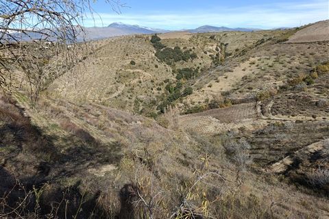Cortijo i Torvizcon, Granada, Torvizcon - € 90.000 | Ref: 77 - foto 18