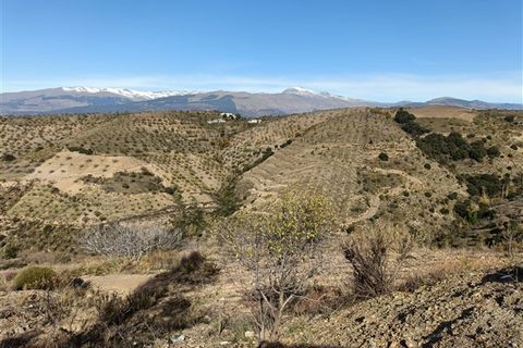 Cortijo i Torvizcon, Granada, Torvizcon - € 90.000 | Ref: 77 - foto 16