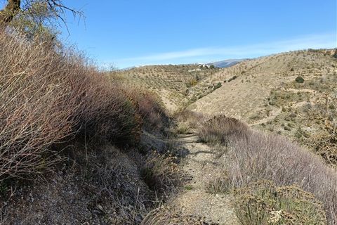 Cortijo i Torvizcon, Granada, Torvizcon - € 90.000 | Ref: 77 - foto 24