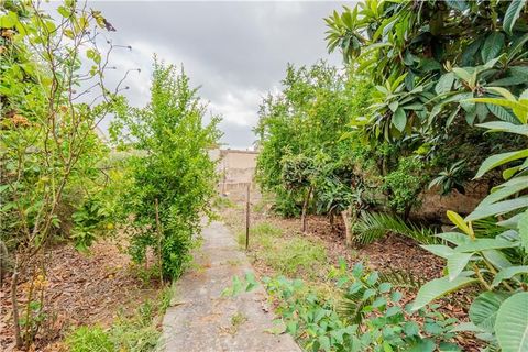Villa i Petra, Mallorca, Petra - € 419.000 | Ref: 45325 - foto 19