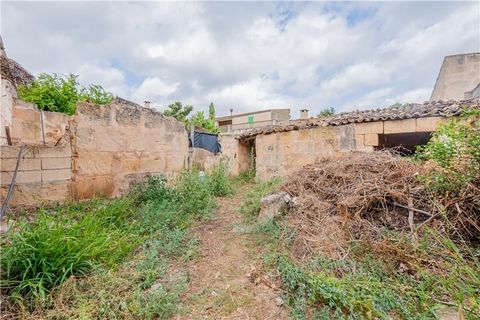 Villa i Petra, Mallorca, Petra - € 419.000 | Ref: 45325 - foto 20