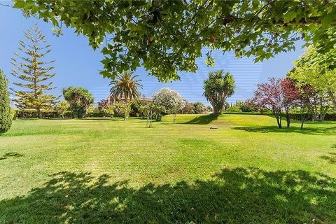 Landejendom i Bunyola, Mallorca, Bunyola - € 1.800.000 | Ref: 40915 - foto 4