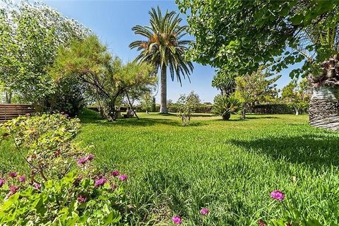 Landejendom i Bunyola, Mallorca, Bunyola - € 1.800.000 | Ref: 40915 - foto 29