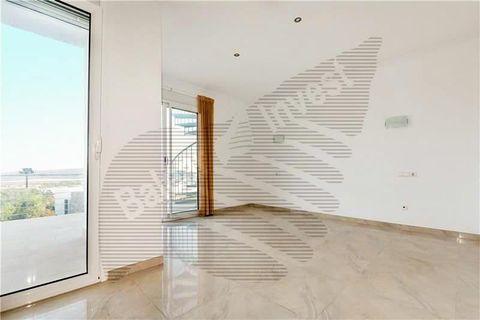 Villa in Calvia, Mallorca, Calvia - € 12,500/month | Ref: 39116 - photo 9