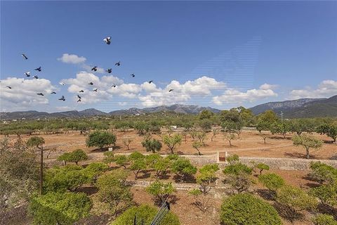 Villa i Bunyola, Mallorca, Bunyola - € 8.975.000 | Ref: 40149 - foto 3