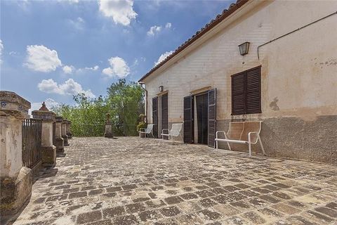 Villa i Bunyola, Mallorca, Bunyola - € 8.975.000 | Ref: 40149 - foto 16