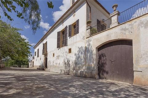 Villa i Bunyola, Mallorca, Bunyola - € 8.975.000 | Ref: 40149 - foto 17