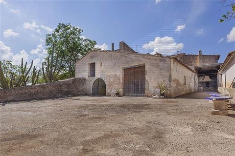 Villa i Bunyola, Mallorca, Bunyola - € 8.975.000 | Ref: 40149 - foto 18
