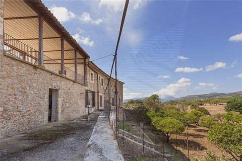 Villa i Bunyola, Mallorca, Bunyola - € 8.975.000 | Ref: 40149 - foto 20