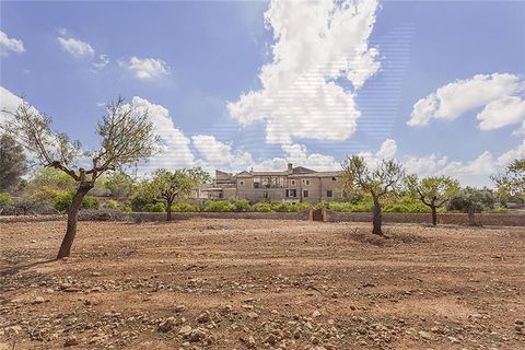 Villa i Bunyola, Mallorca, Bunyola - € 8.975.000 | Ref: 40149 - foto 21