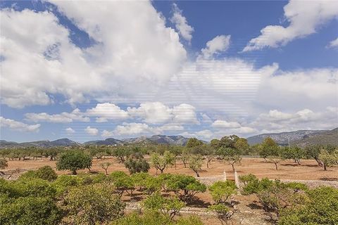 Villa i Bunyola, Mallorca, Bunyola - € 8.975.000 | Ref: 40149 - foto 22