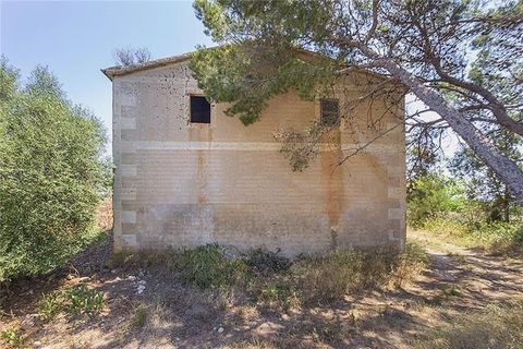 Herregård i Manacor, Mallorca, Manacor - € 3 700 000 | Ref: 40785 - foto 3