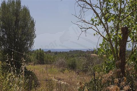Herregård i Manacor, Mallorca, Manacor - € 3 700 000 | Ref: 40785 - foto 5