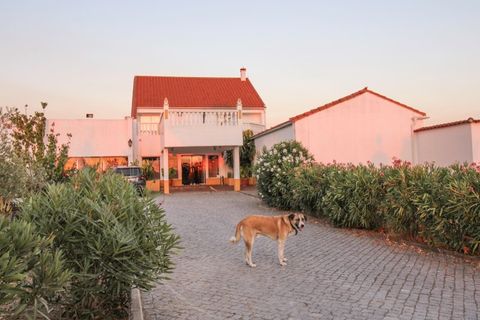 Erhvervsejendom i Alter do Chao, Portalegre, Alter do Chao - € 999.000 | Ref: M&A000037 - foto 2