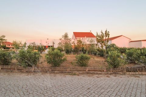 Erhvervsejendom i Alter do Chao, Portalegre, Alter do Chao - € 999.000 | Ref: M&A000037 - foto 22