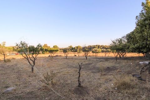 Erhvervsejendom i Alter do Chao, Portalegre, Alter do Chao - € 999.000 | Ref: M&A000037 - foto 23