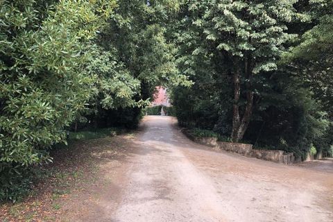 Farm i Luso, Aveiro, Luso - € 2.800.000 | Ref: QUI2193 - foto 7