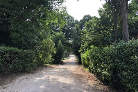 Farm i Luso, Aveiro, Luso - € 2.800.000 | Ref: QUI2193 - foto 37