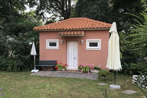Farm i Luso, Aveiro, Luso - € 2.800.000 | Ref: QUI2193 - foto 39
