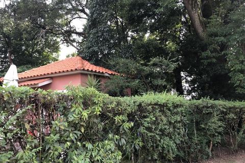 Farm i Luso, Aveiro, Luso - € 2.800.000 | Ref: QUI2193 - foto 40