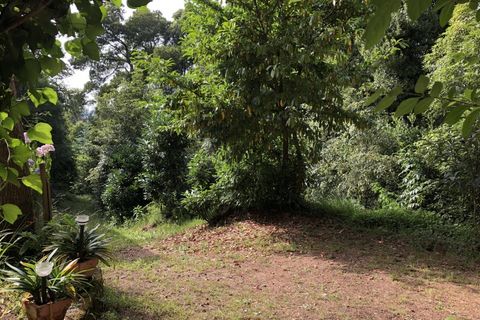 Farm i Luso, Aveiro, Luso - € 2.800.000 | Ref: QUI2193 - foto 43