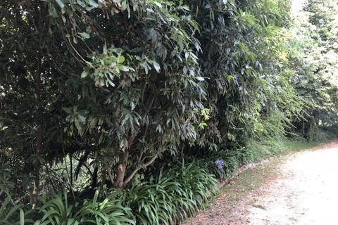 Farm i Luso, Aveiro, Luso - € 2.800.000 | Ref: QUI2193 - foto 45