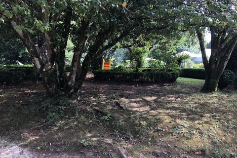Farm i Luso, Aveiro, Luso - € 2.800.000 | Ref: QUI2193 - foto 48