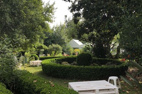 Farm i Luso, Aveiro, Luso - € 2.800.000 | Ref: QUI2193 - foto 50