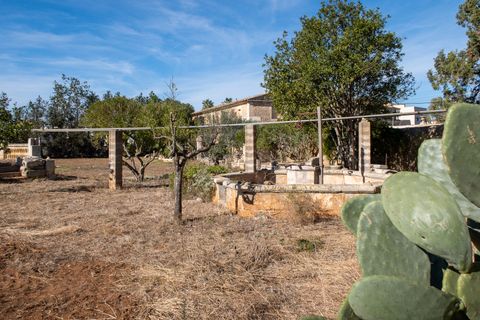 Finca i Manacor, Mallorca, Manacor - € 750.000 | Ref: 75368 - foto 10