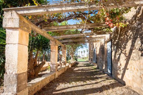 Finca i Manacor, Mallorca, Manacor - € 750.000 | Ref: 75368 - foto 11