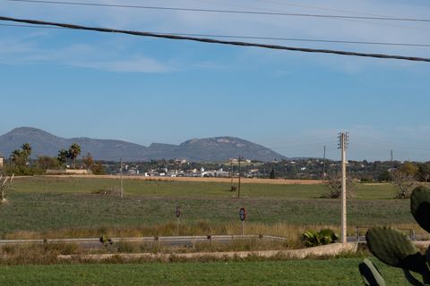 Finca i Manacor, Mallorca, Manacor - € 750.000 | Ref: 75368 - foto 13