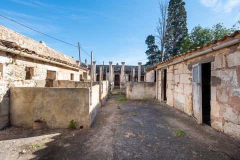 Finca i Manacor, Mallorca, Manacor - € 750.000 | Ref: 75368 - foto 18