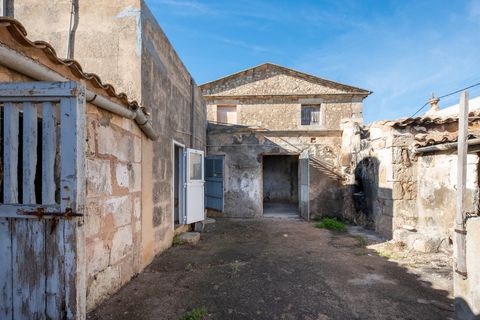 Finca i Manacor, Mallorca, Manacor - € 750.000 | Ref: 75368 - foto 21