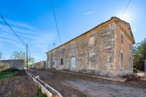 Finca i Manacor, Mallorca, Manacor - € 750.000 | Ref: 75368 - foto 23
