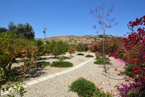 Cortijo i Antas, Almeria, Antas - € 325.000 | Ref: OLV2016 - foto 10