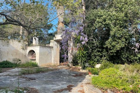 Landejendom i Ostuni, Brindisi, Ostuni - € 11.111.111 | Ref: 276 - foto 3