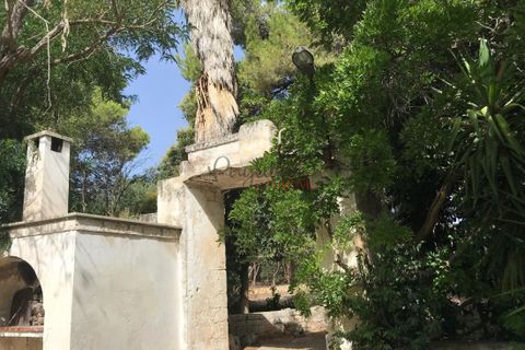 Landejendom i Ostuni, Brindisi, Ostuni - € 11.111.111 | Ref: 276 - foto 21
