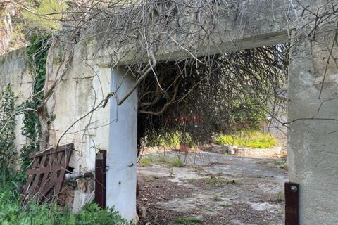 Landejendom i Ostuni, Brindisi, Ostuni - € 11.111.111 | Ref: 276 - foto 5